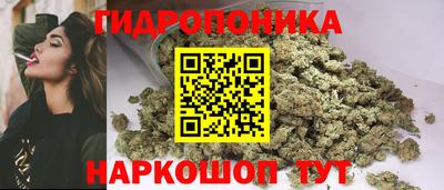 spice Кандалакша