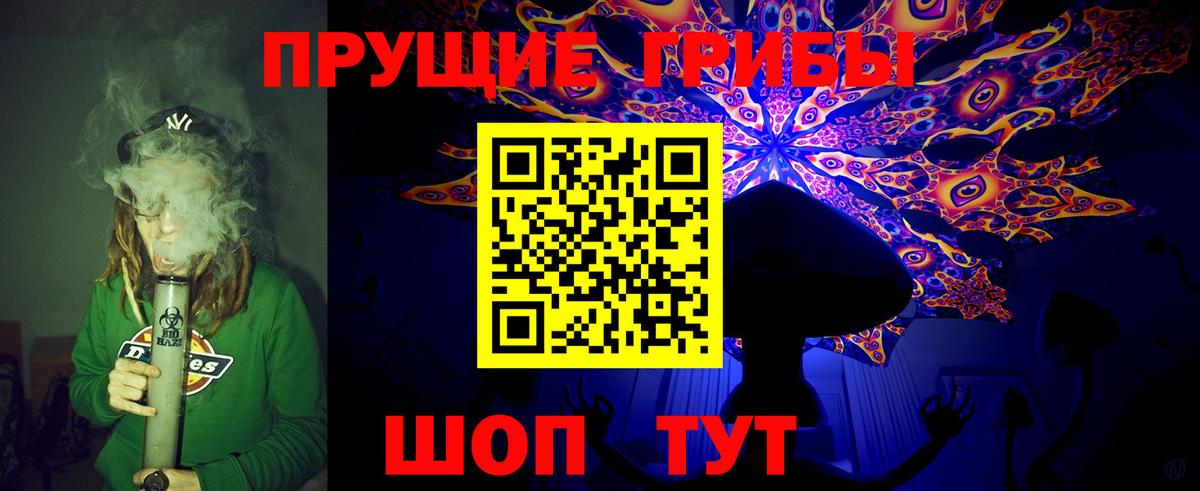Псилоцибиновые грибы прущие грибы  Вход с VPN  Кувандык  Псилоцибиновые грибы прущие грибы 